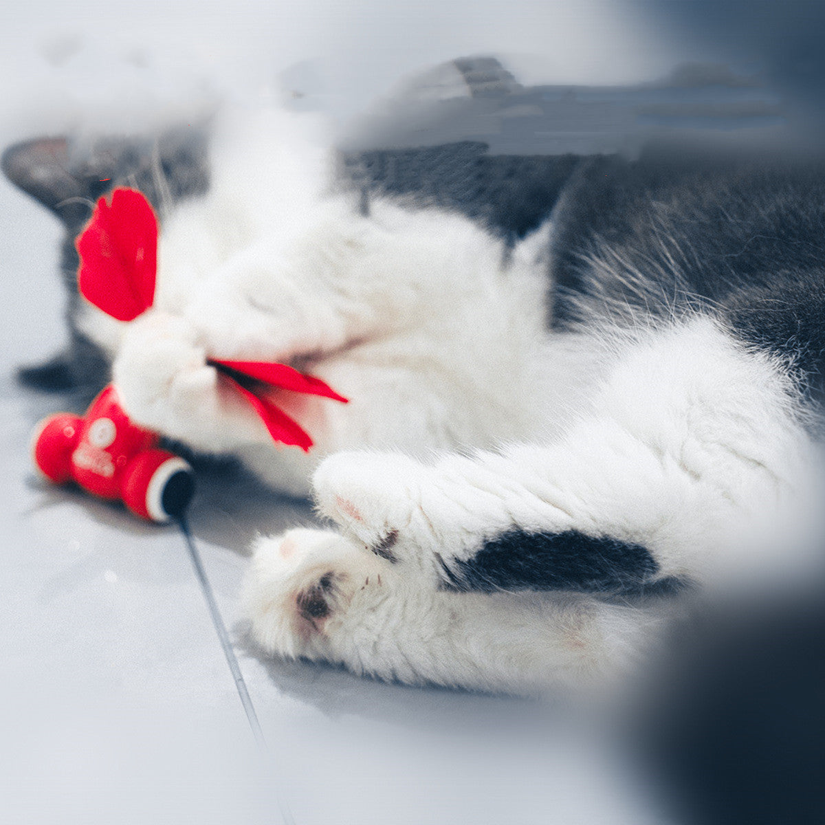 The Purr-fect Companion: The Automatic Interactive Pet Toy