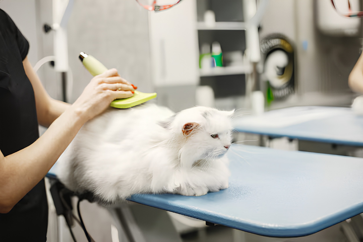 KEEP PETS HAPPY AND HEALTHY