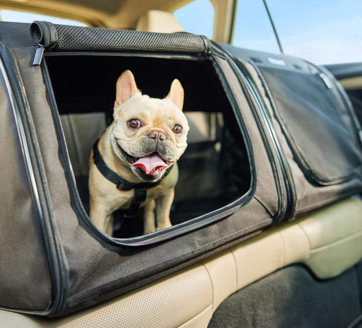 COMFORTABLE TRAVEL FOR EVERY PET